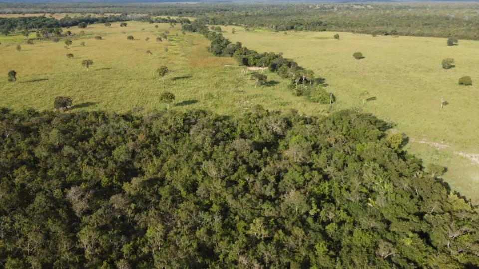 Fazenda à venda de 75 ha em Jaú do Tocantins, TO, Brasil