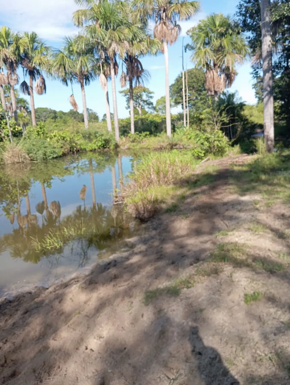 Fazenda à venda de 75 ha em Jaú do Tocantins, TO, Brasil