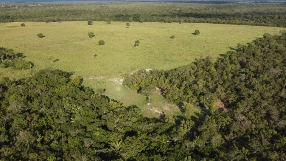 Fazenda à venda de 75 ha em Jaú do Tocantins, TO, Brasil