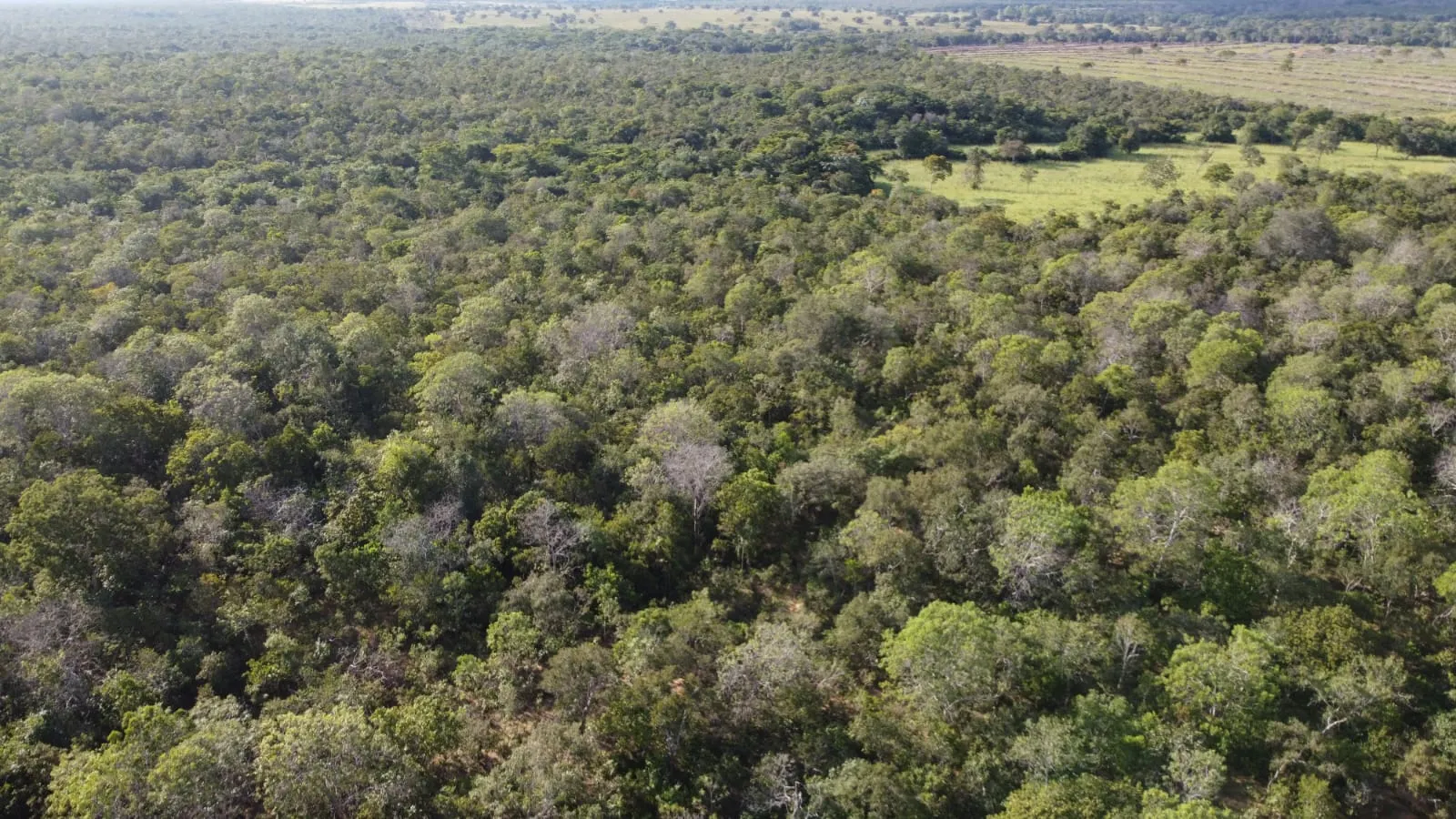 Fazenda à venda de 75 ha em Jaú do Tocantins, TO, Brasil