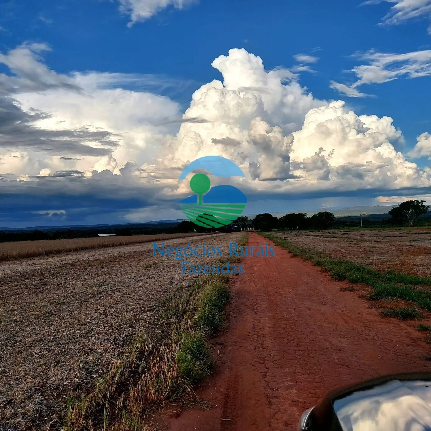 Fazenda à venda de 1.597 ha em Silvanópolis, TO, Brasil