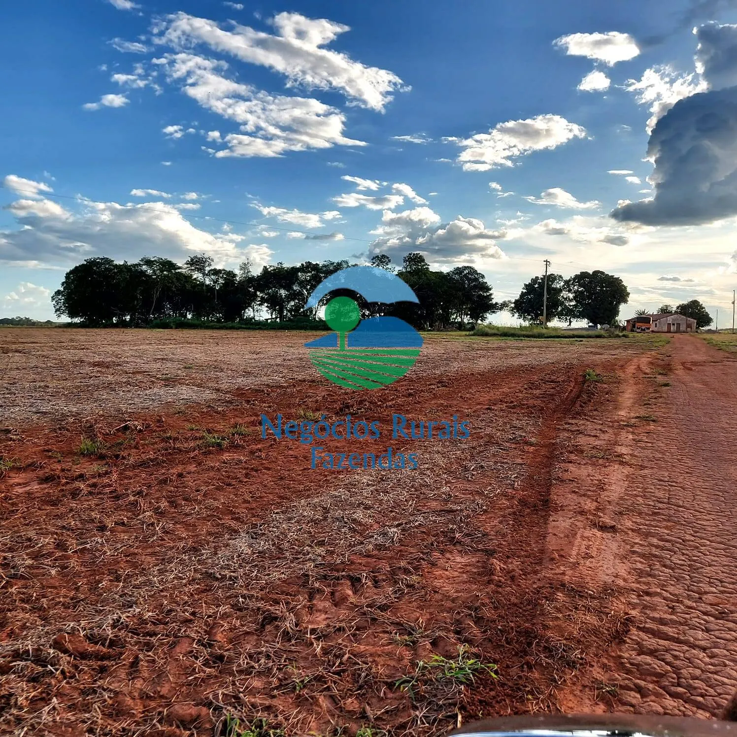 Fazenda à venda de 1.597 ha em Silvanópolis, TO, Brasil