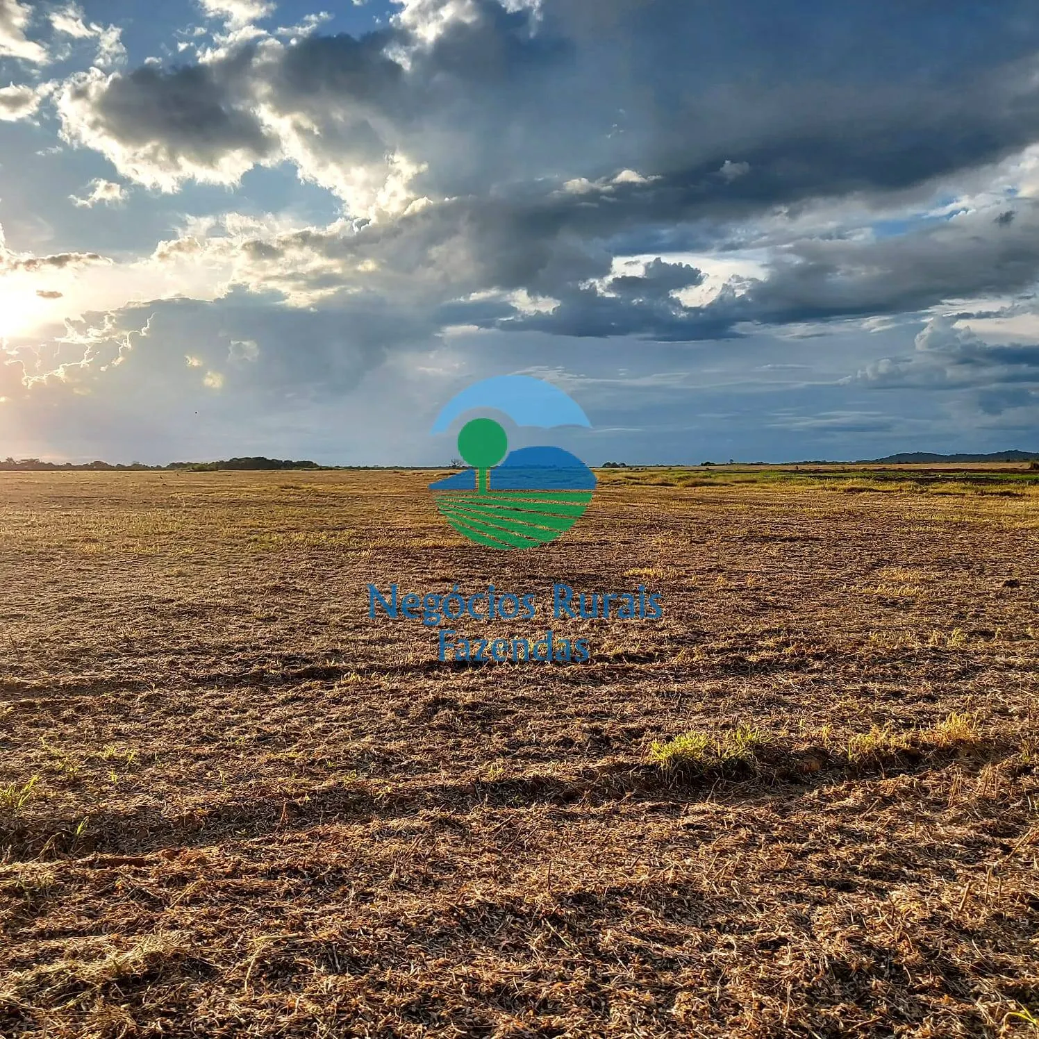 Fazenda à venda de 1.597 ha em Silvanópolis, TO, Brasil