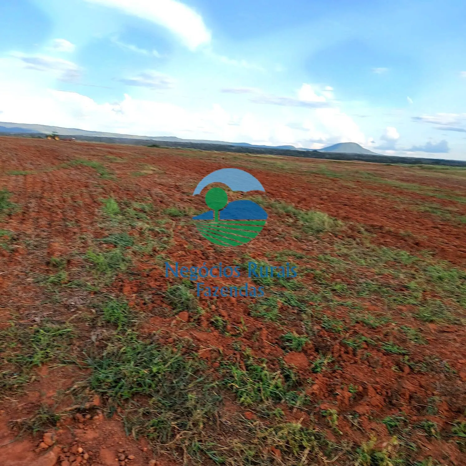 Fazenda à venda de 1.597 ha em Silvanópolis, TO, Brasil