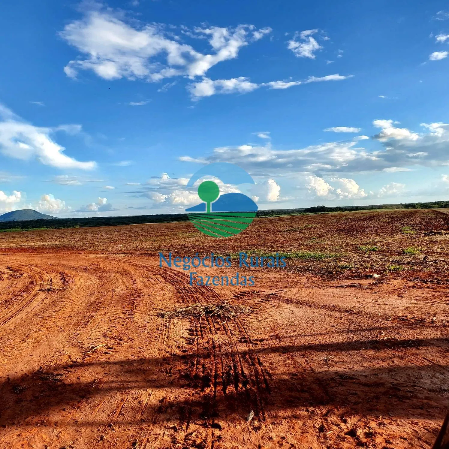 Fazenda à venda de 1.597 ha em Silvanópolis, TO, Brasil