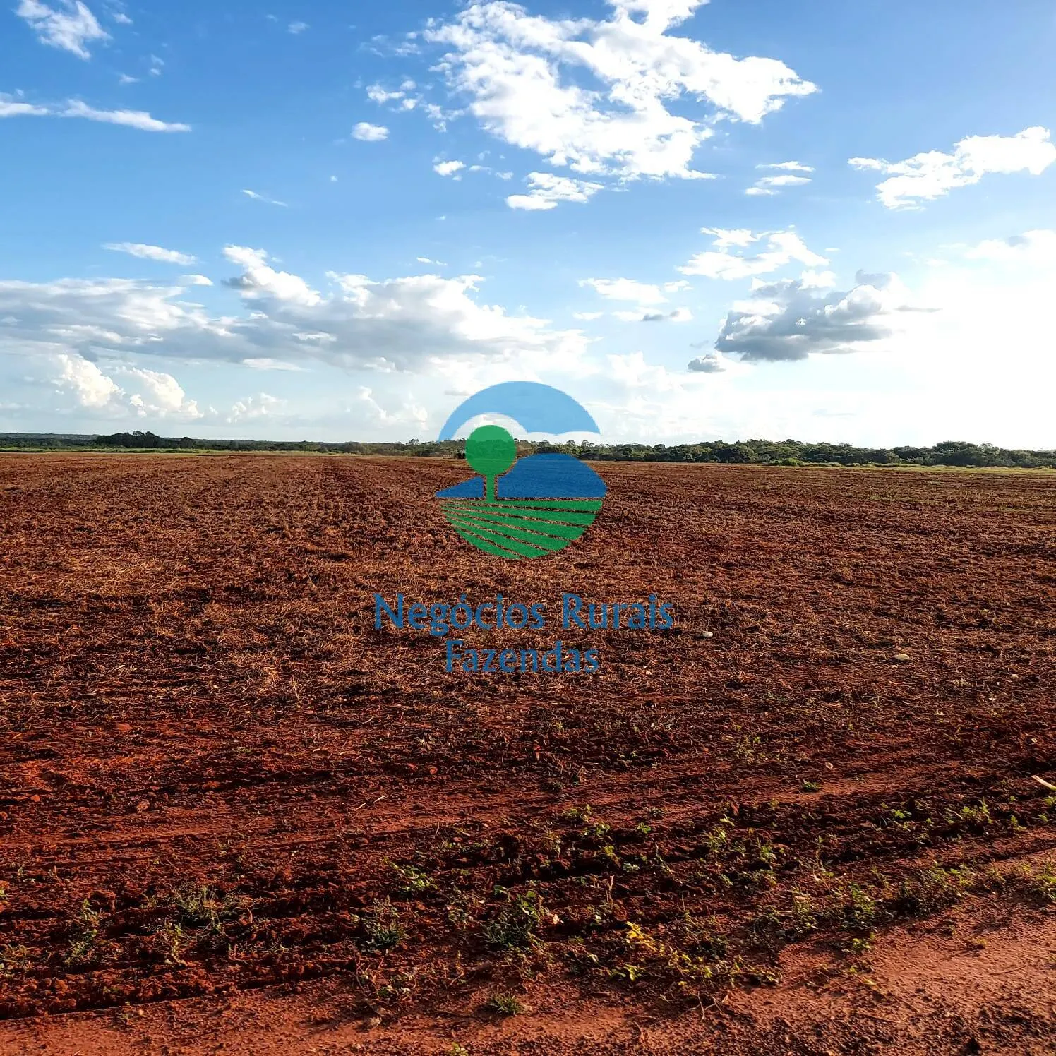 Fazenda à venda de 1.597 ha em Silvanópolis, TO, Brasil