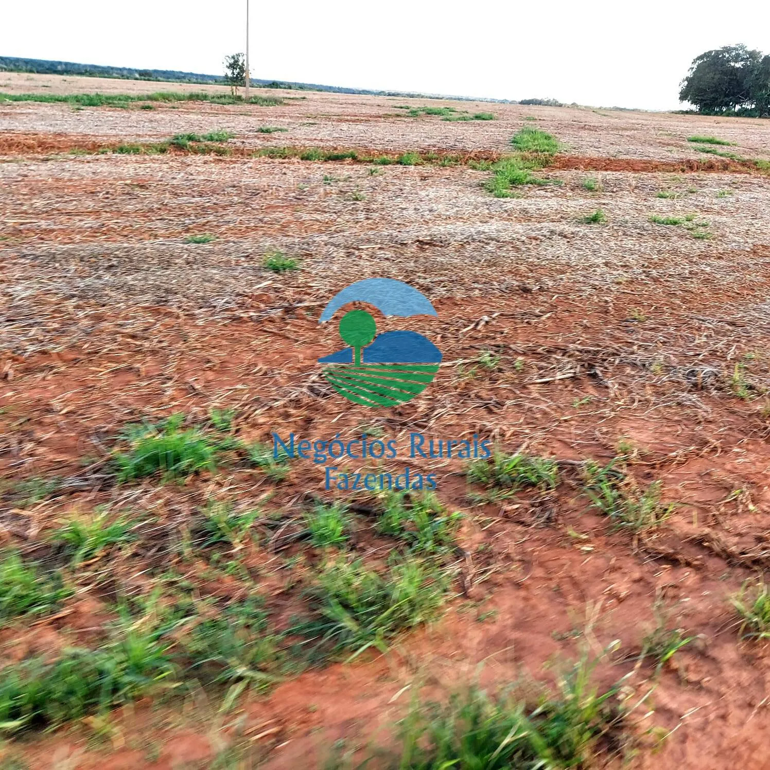 Fazenda à venda de 1.597 ha em Silvanópolis, TO, Brasil