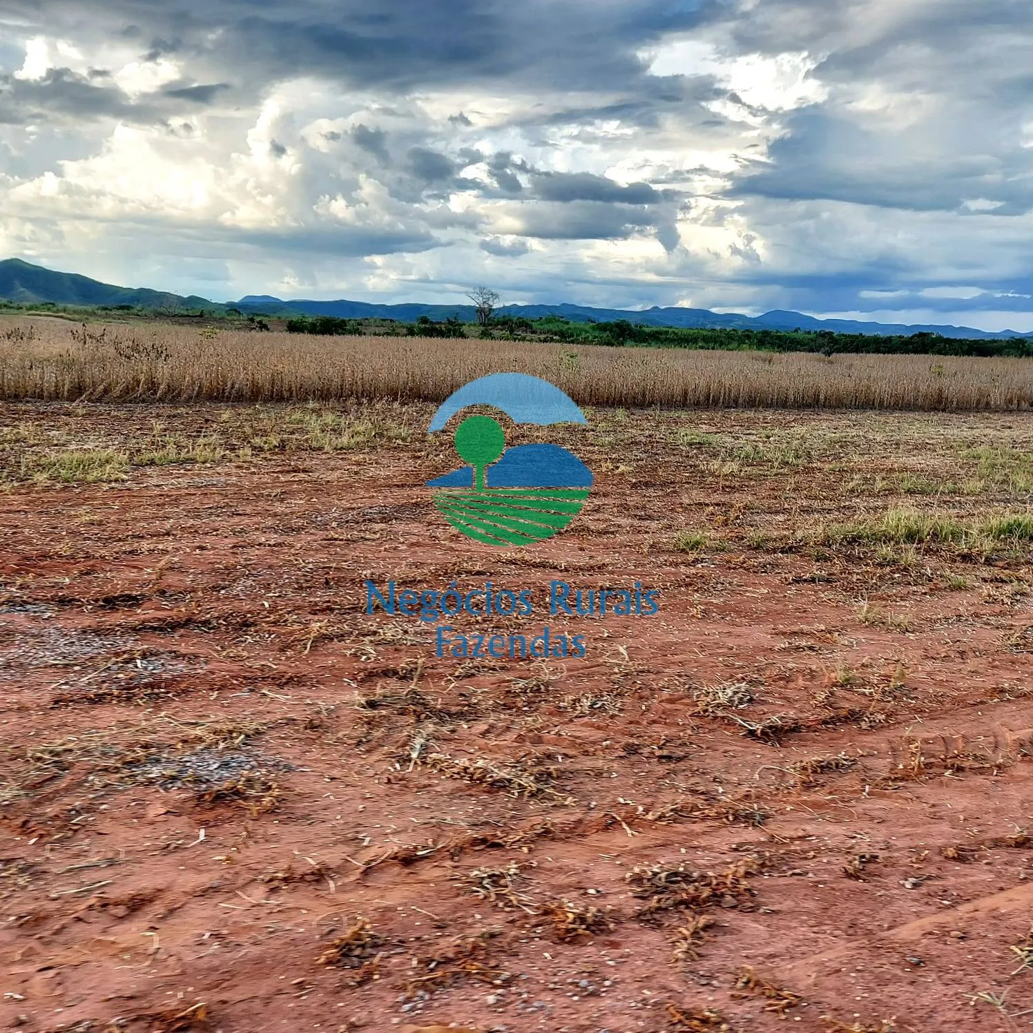 Fazenda à venda de 1.597 ha em Silvanópolis, TO, Brasil