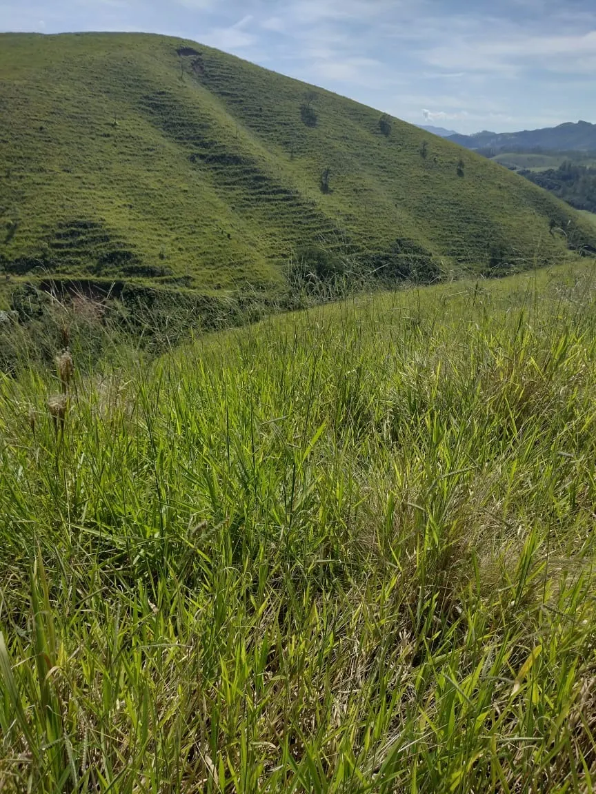 Terreno à venda de 4 ha em São José dos Campos, SP, Brasil