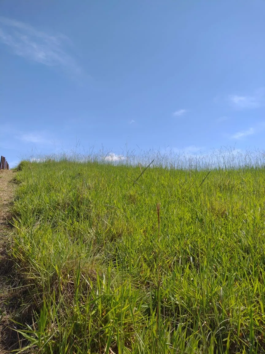 Terreno à venda de 4 ha em São José dos Campos, SP, Brasil