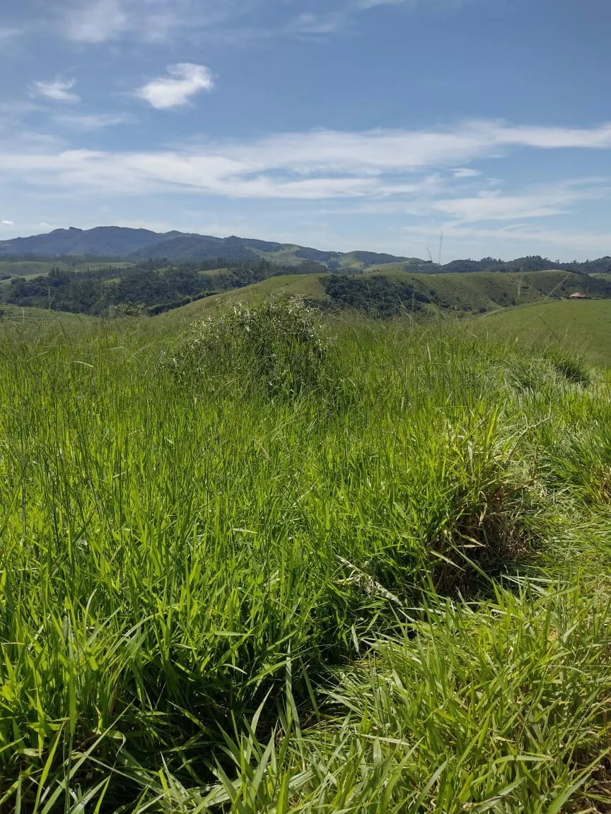 Terreno à venda de 4 ha em São José dos Campos, SP, Brasil