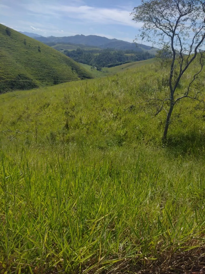 Terreno à venda de 4 ha em São José dos Campos, SP, Brasil