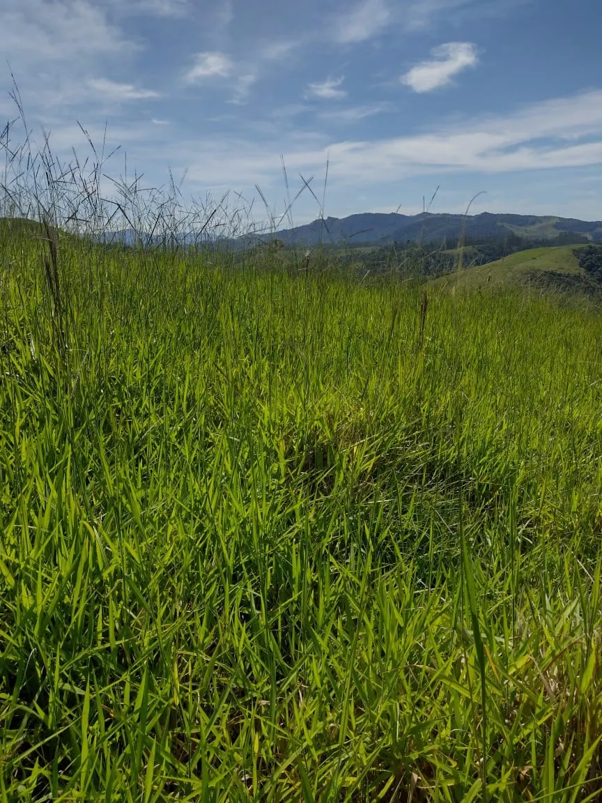 Terreno à venda de 4 ha em São José dos Campos, SP, Brasil