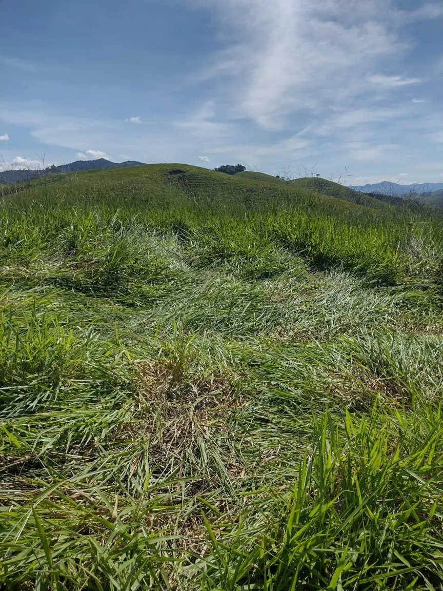 Terreno à venda de 4 ha em São José dos Campos, SP, Brasil