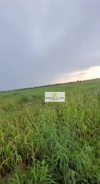 Fazenda à venda de 7.000 ha em São João dos Patos, MA, Brasil