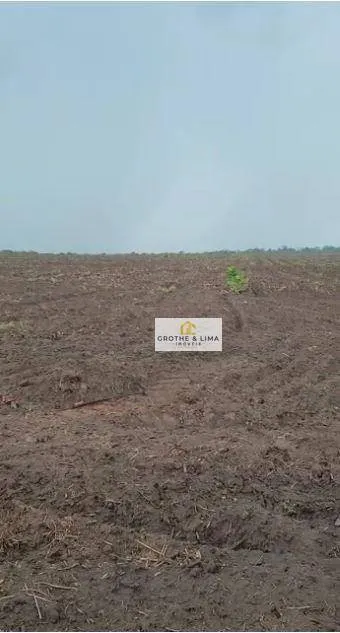Fazenda à venda de 7.000 ha em São João dos Patos, MA, Brasil