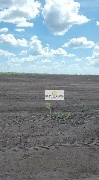 Fazenda à venda de 7.000 ha em São João dos Patos, MA, Brasil