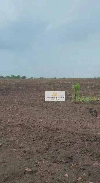 Fazenda à venda de 7.000 ha em São João dos Patos, MA, Brasil
