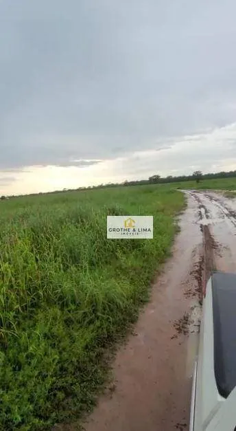 Fazenda à venda de 7.000 ha em São João dos Patos, MA, Brasil