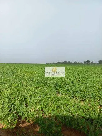 Fazenda à venda de 29.000 ha em Balsas, MA, Brasil