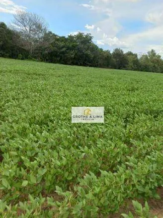 Fazenda à venda de 29.000 ha em Balsas, MA, Brasil