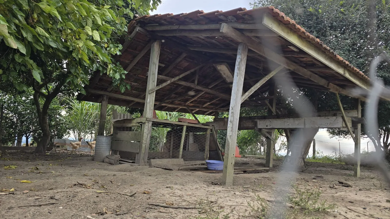 Sítio à venda de 15 ha em Pinhalão, PR, Brasil