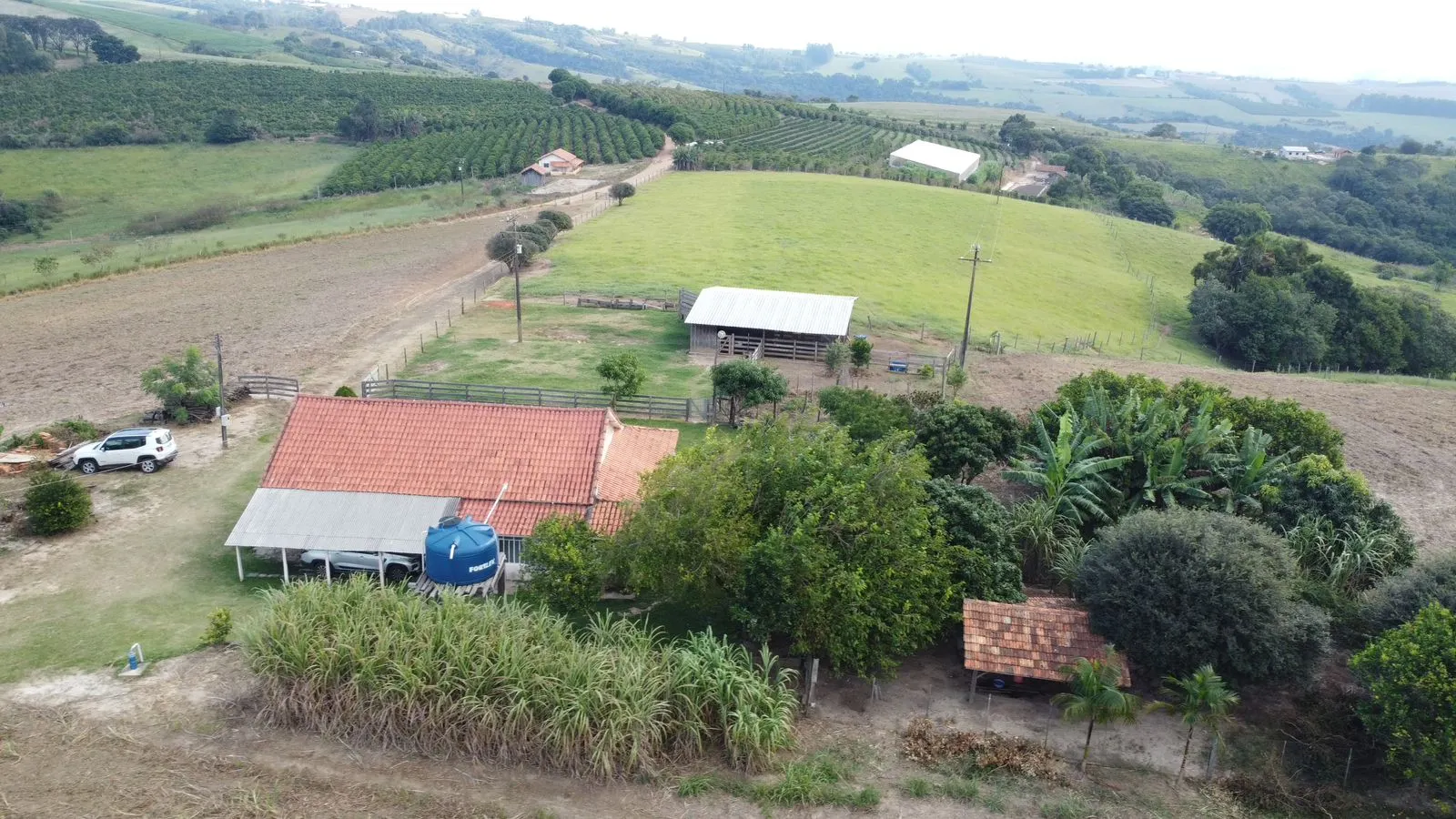 Sítio à venda de 15 ha em Pinhalão, PR, Brasil