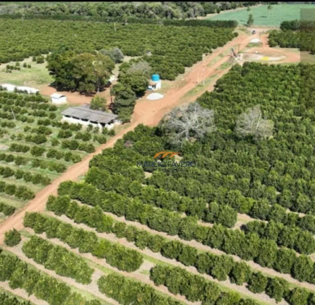 Fazenda à venda de 411 ha em Itapetininga, SP, Brasil
