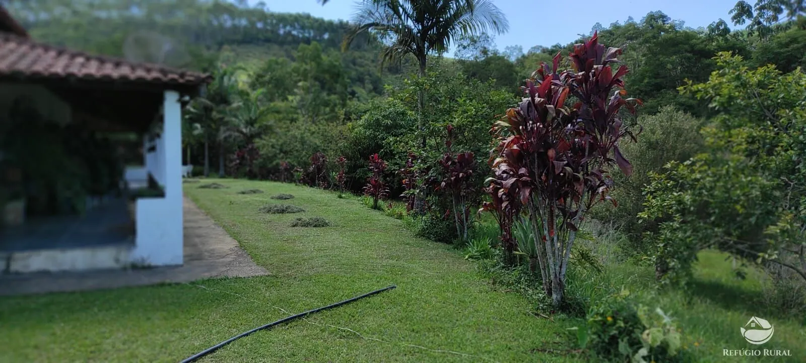 Small farm for sale of 35 acres in Igaratá, SP, Brazil