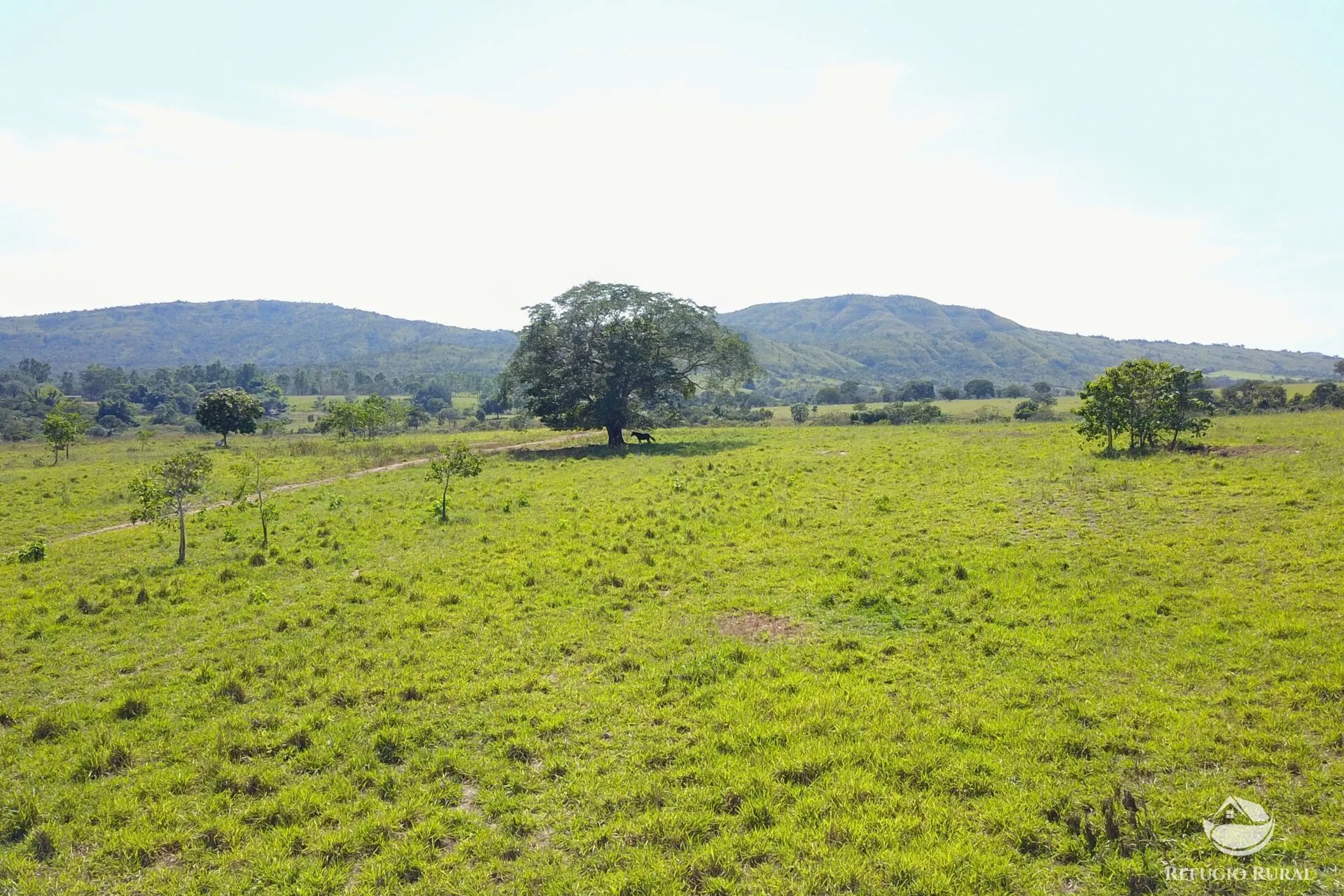 Farm for sale of 3,763 acres in Padre Bernardo, GO, Brazil