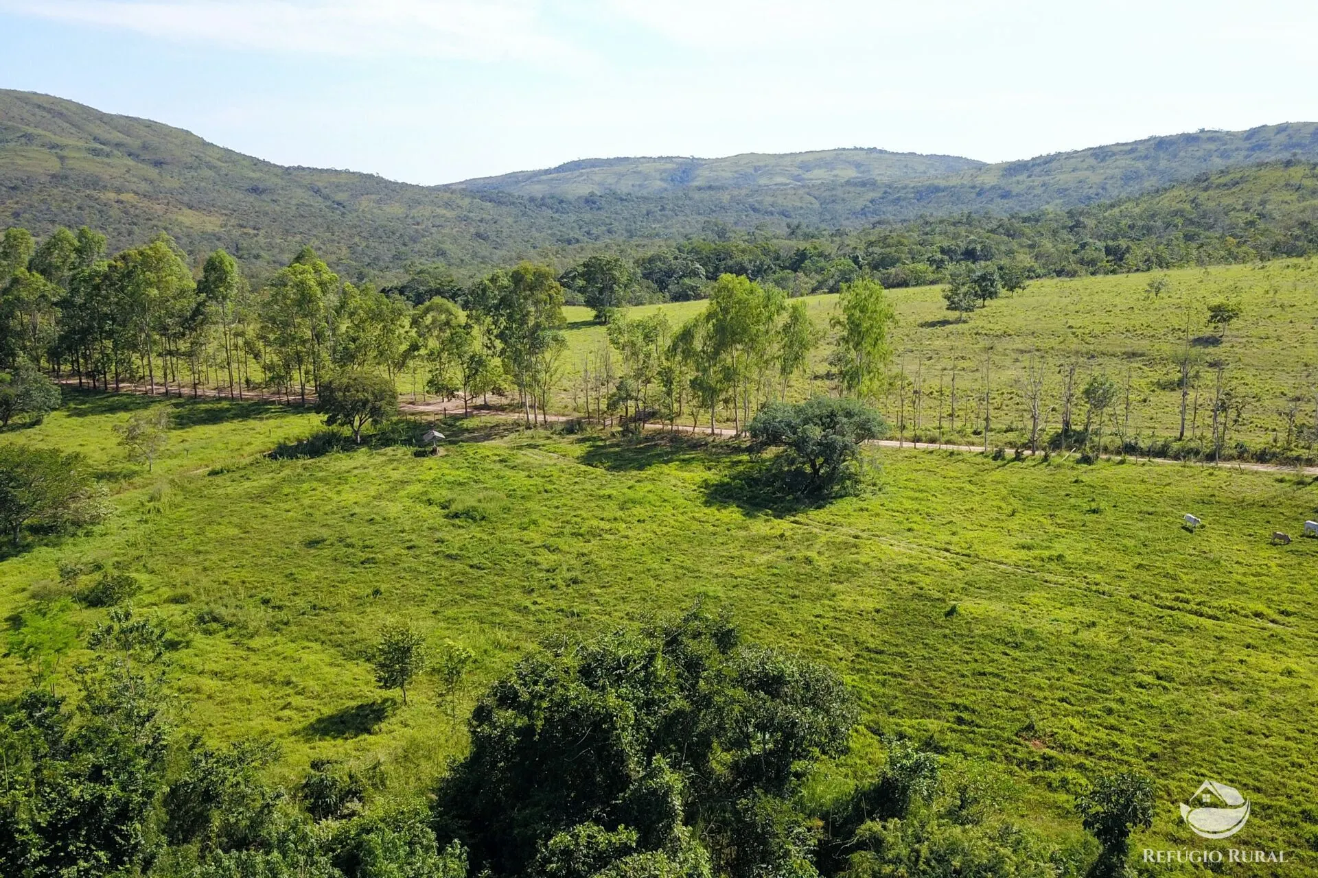 Farm for sale of 3,763 acres in Padre Bernardo, GO, Brazil