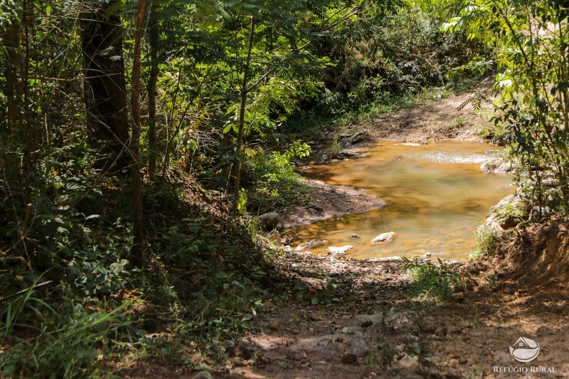 Farm for sale of 3,763 acres in Padre Bernardo, GO, Brazil