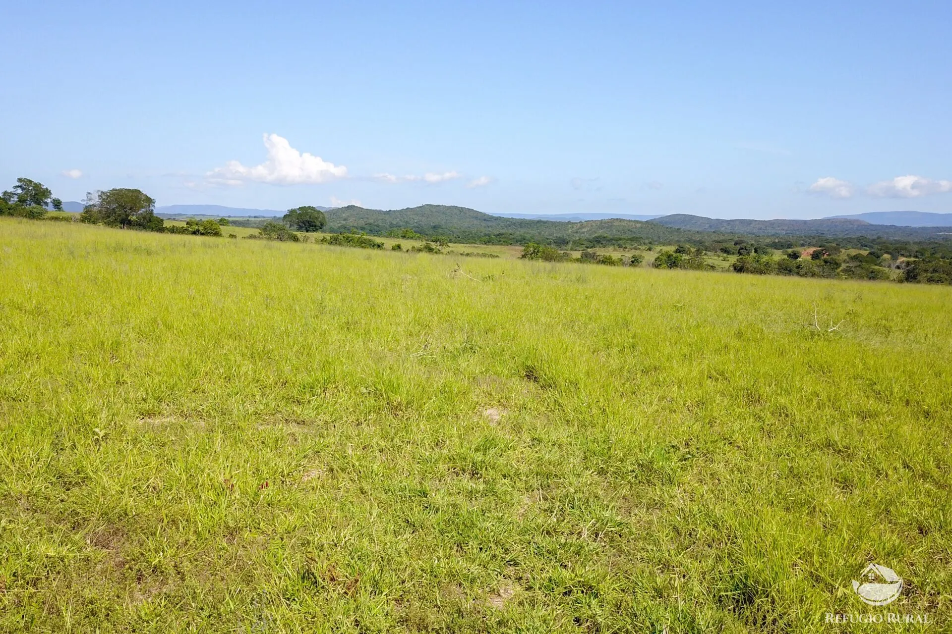 Farm for sale of 3,763 acres in Padre Bernardo, GO, Brazil