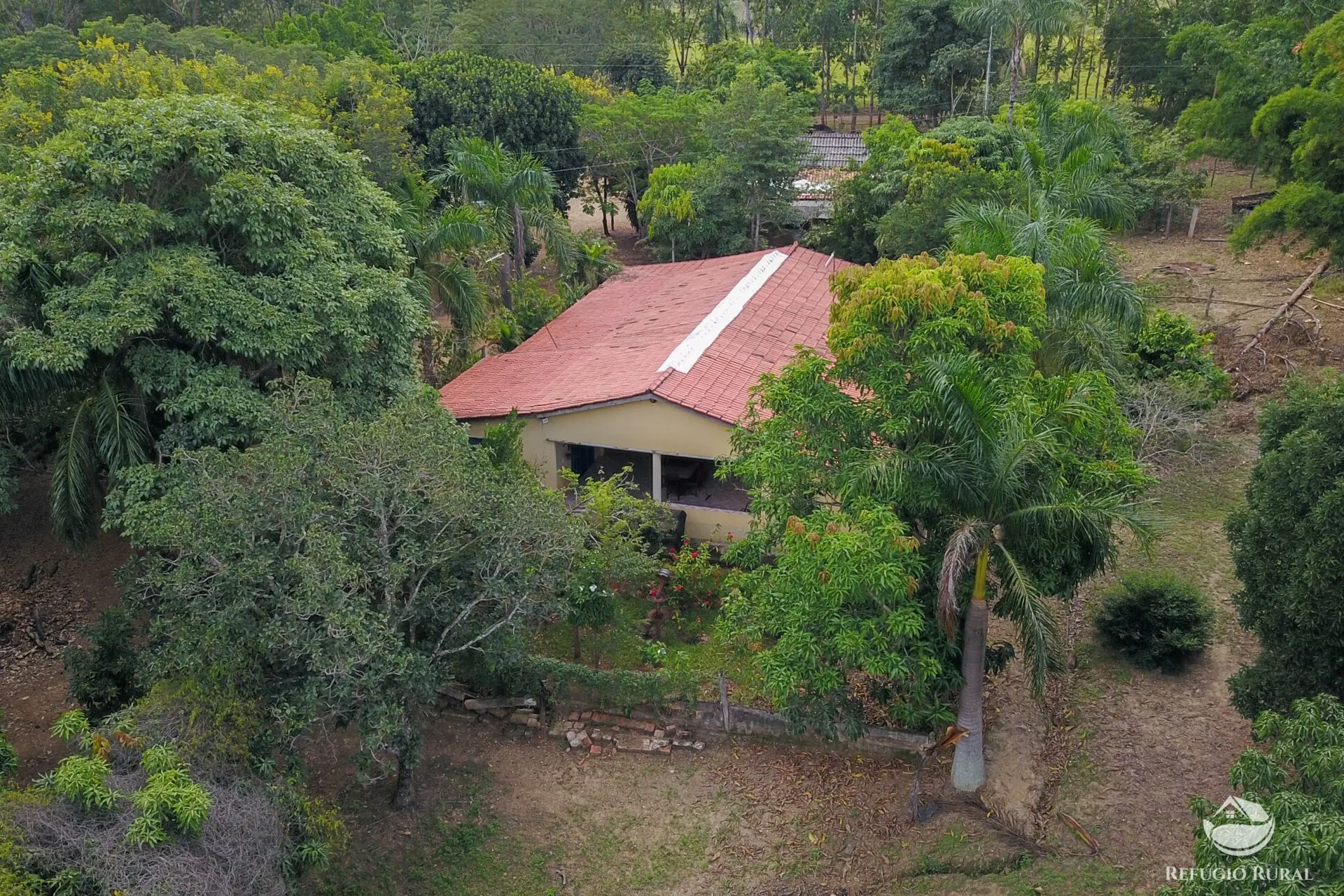 Farm for sale of 3,763 acres in Padre Bernardo, GO, Brazil