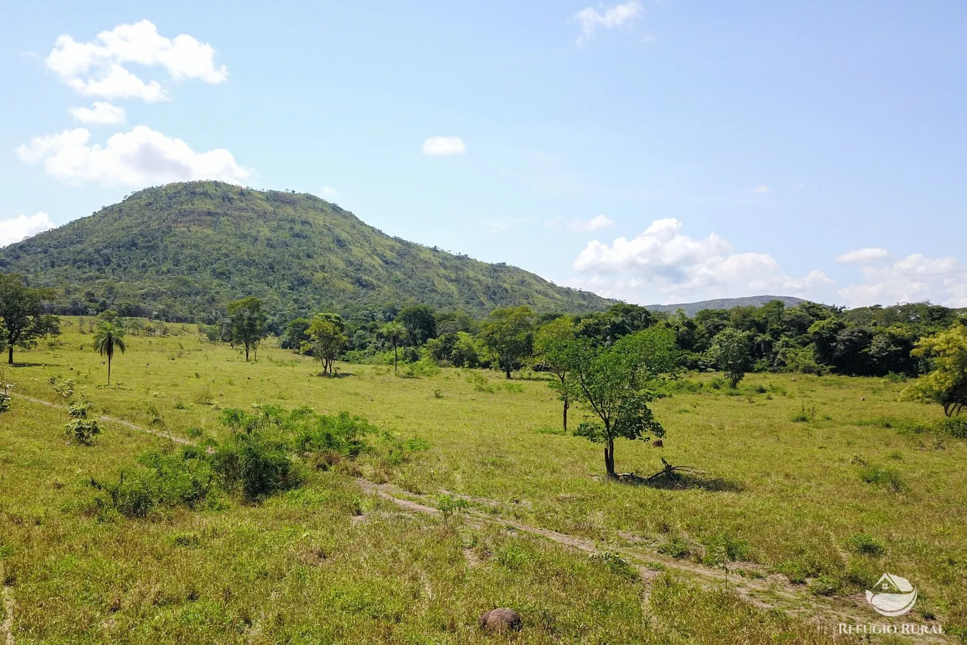 Farm for sale of 3,763 acres in Padre Bernardo, GO, Brazil