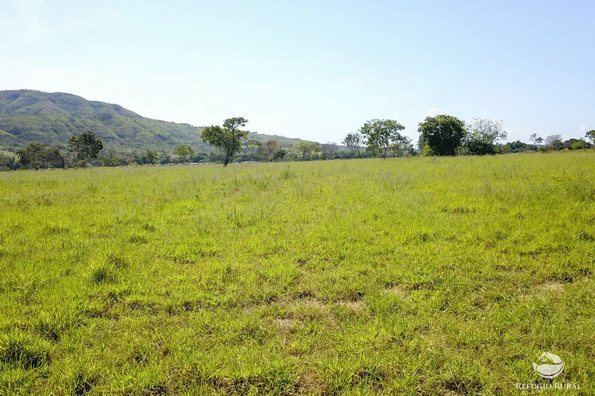 Farm for sale of 3,763 acres in Padre Bernardo, GO, Brazil