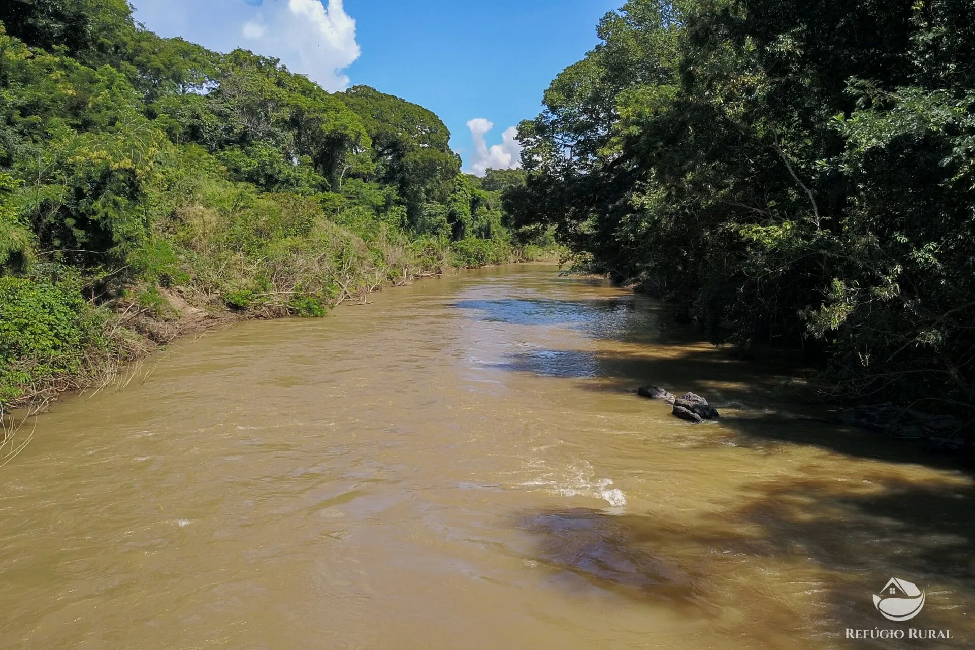 Farm for sale of 3,763 acres in Padre Bernardo, GO, Brazil