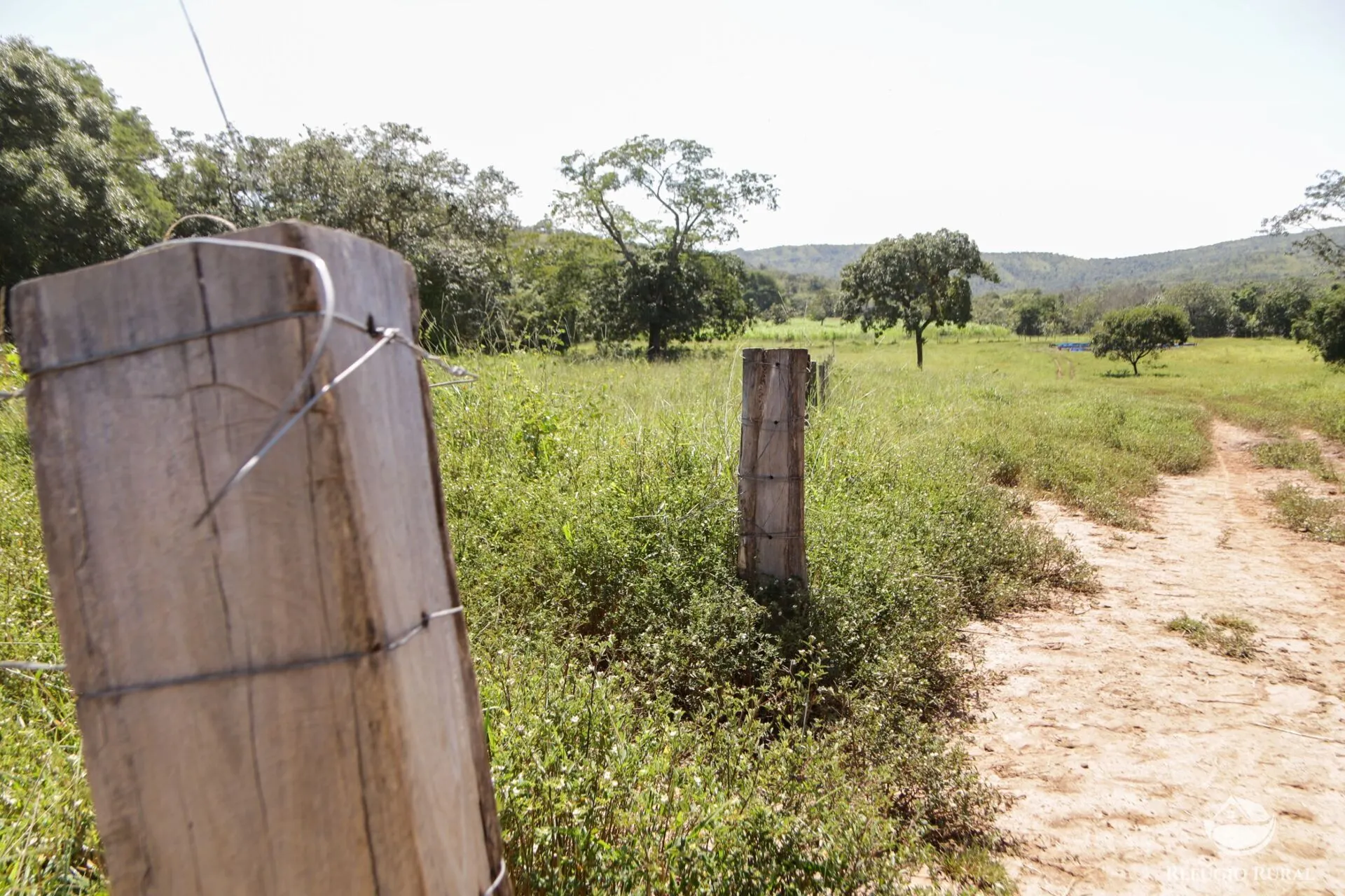 Farm for sale of 3,763 acres in Padre Bernardo, GO, Brazil