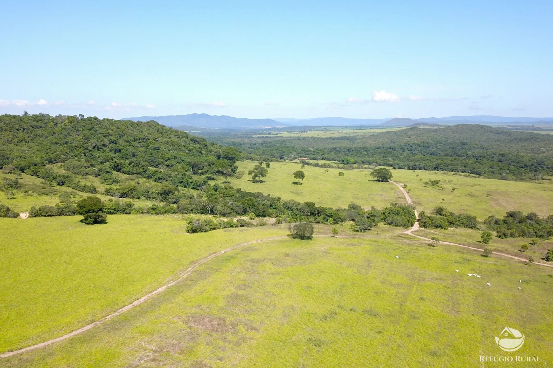 Farm for sale of 3,763 acres in Padre Bernardo, GO, Brazil