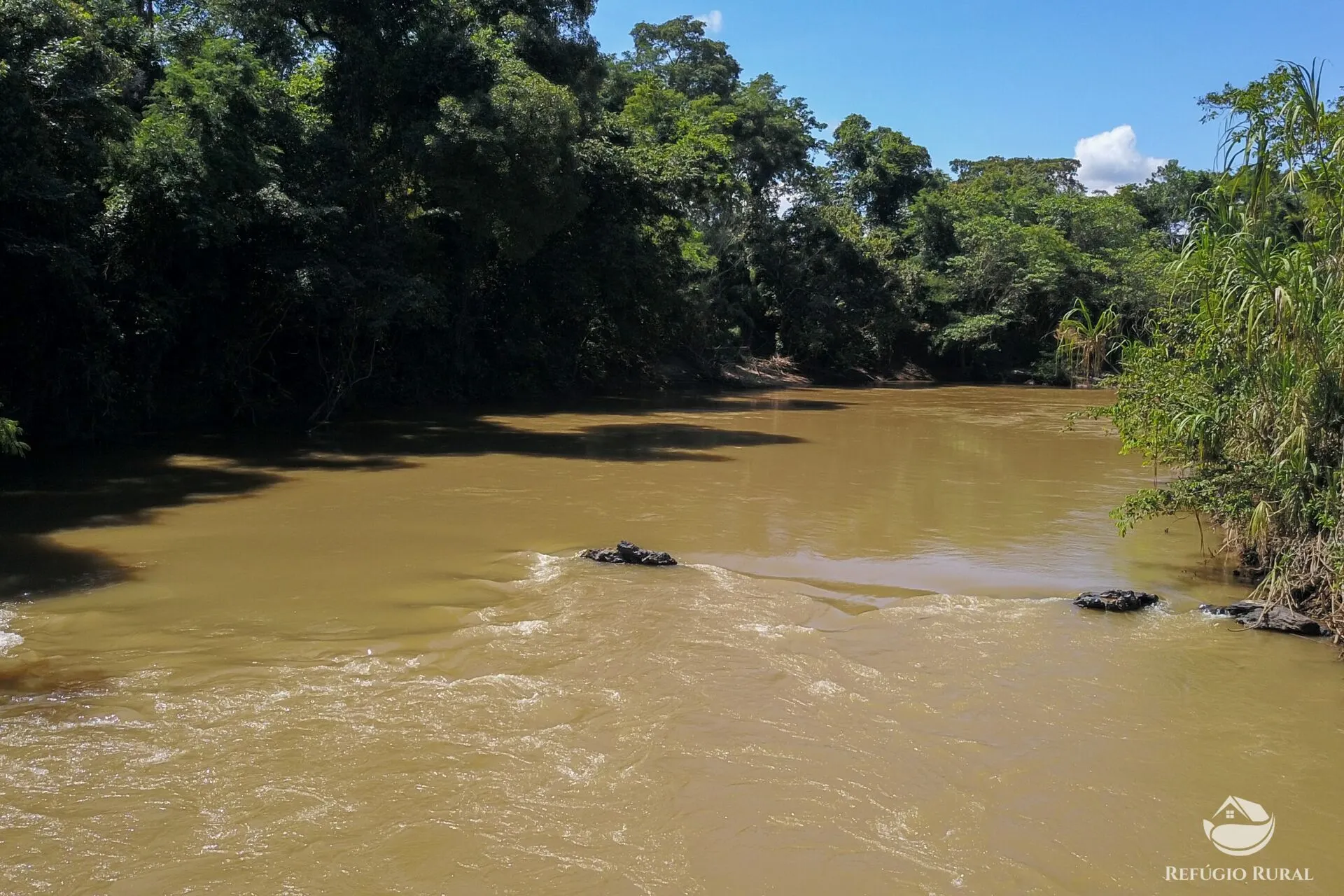 Farm for sale of 3,763 acres in Padre Bernardo, GO, Brazil