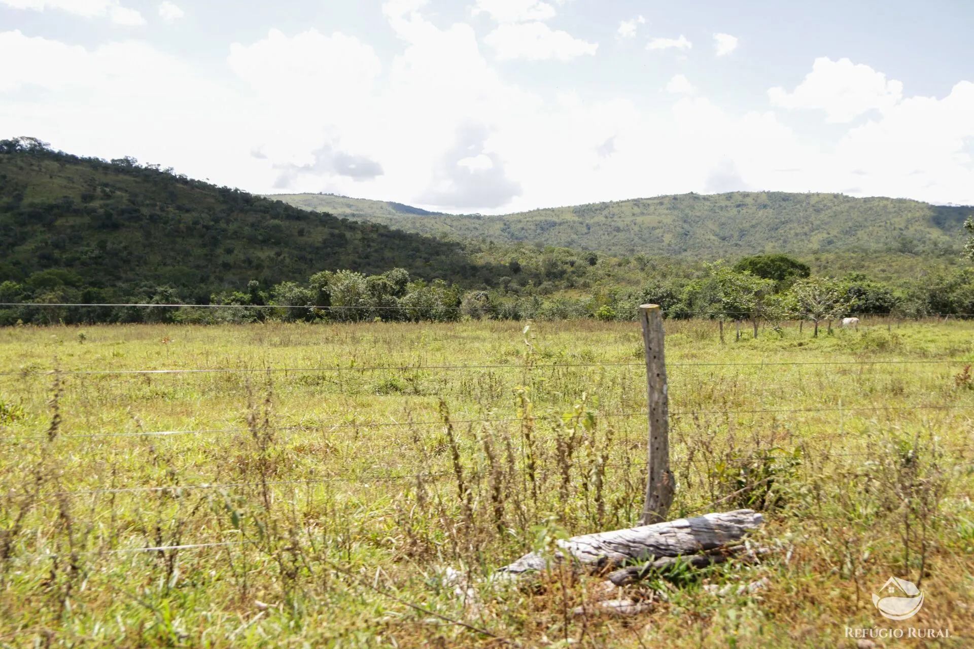 Farm for sale of 3,763 acres in Padre Bernardo, GO, Brazil
