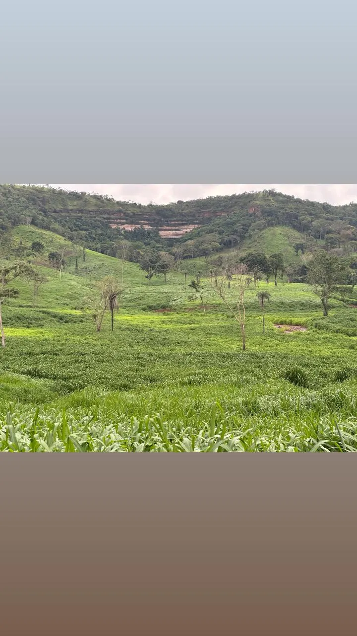 Fazenda à venda de 593 ha em Palmas, TO, Brasil