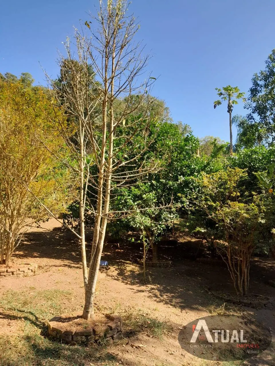 Chácara à venda de 2.000 m² em Nazaré Paulista, SP, Brasil