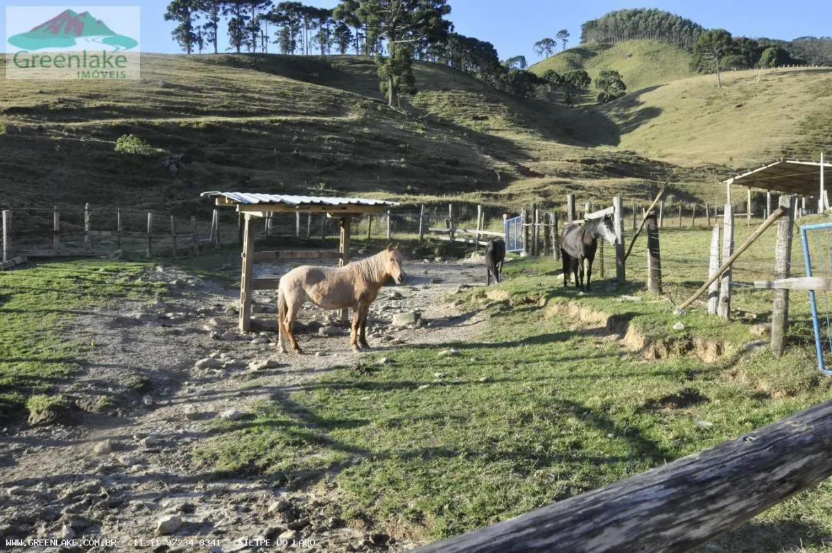 Fazenda à venda de 194 ha em Piracaia, SP, Brasil