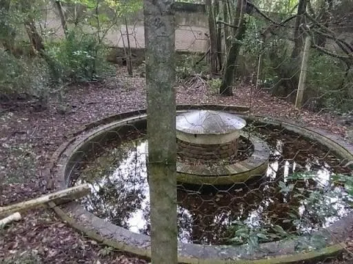 Chácara à venda de 2 ha em Jarinu, SP, Brasil