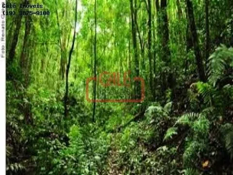 Fazenda à venda de 500 ha em Cananéia, SP, Brasil