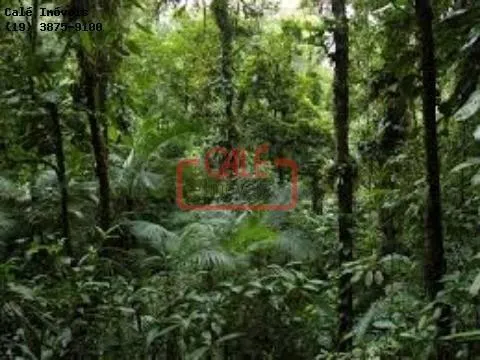 Fazenda à venda de 500 ha em Cananéia, SP, Brasil