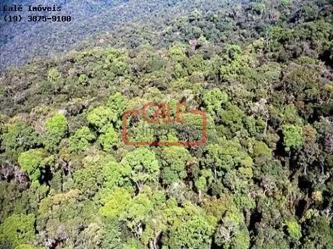 Fazenda à venda de 500 ha em Cananéia, SP, Brasil