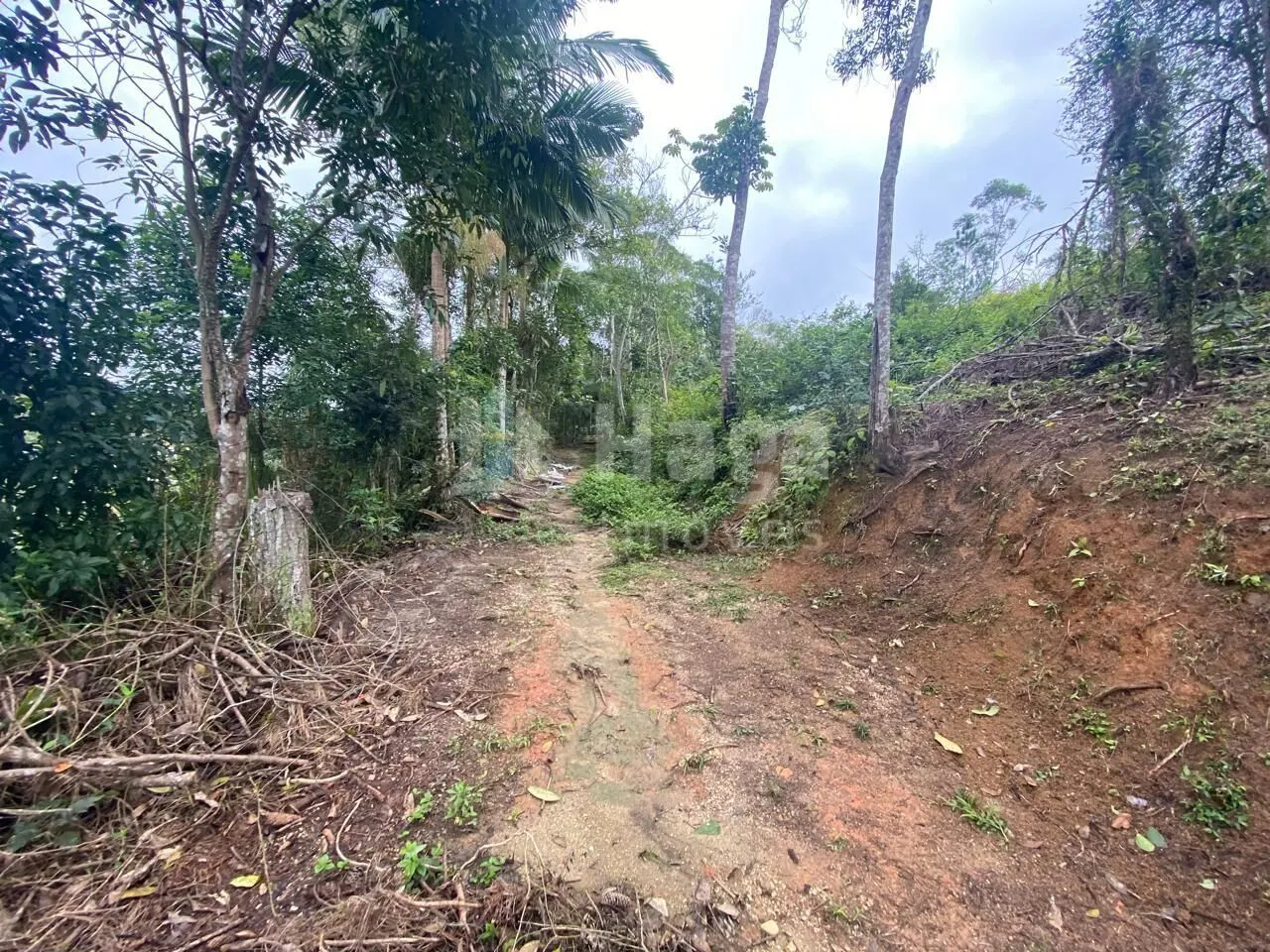 Fazenda à venda de 7 ha em Nova Trento, SC, Brasil