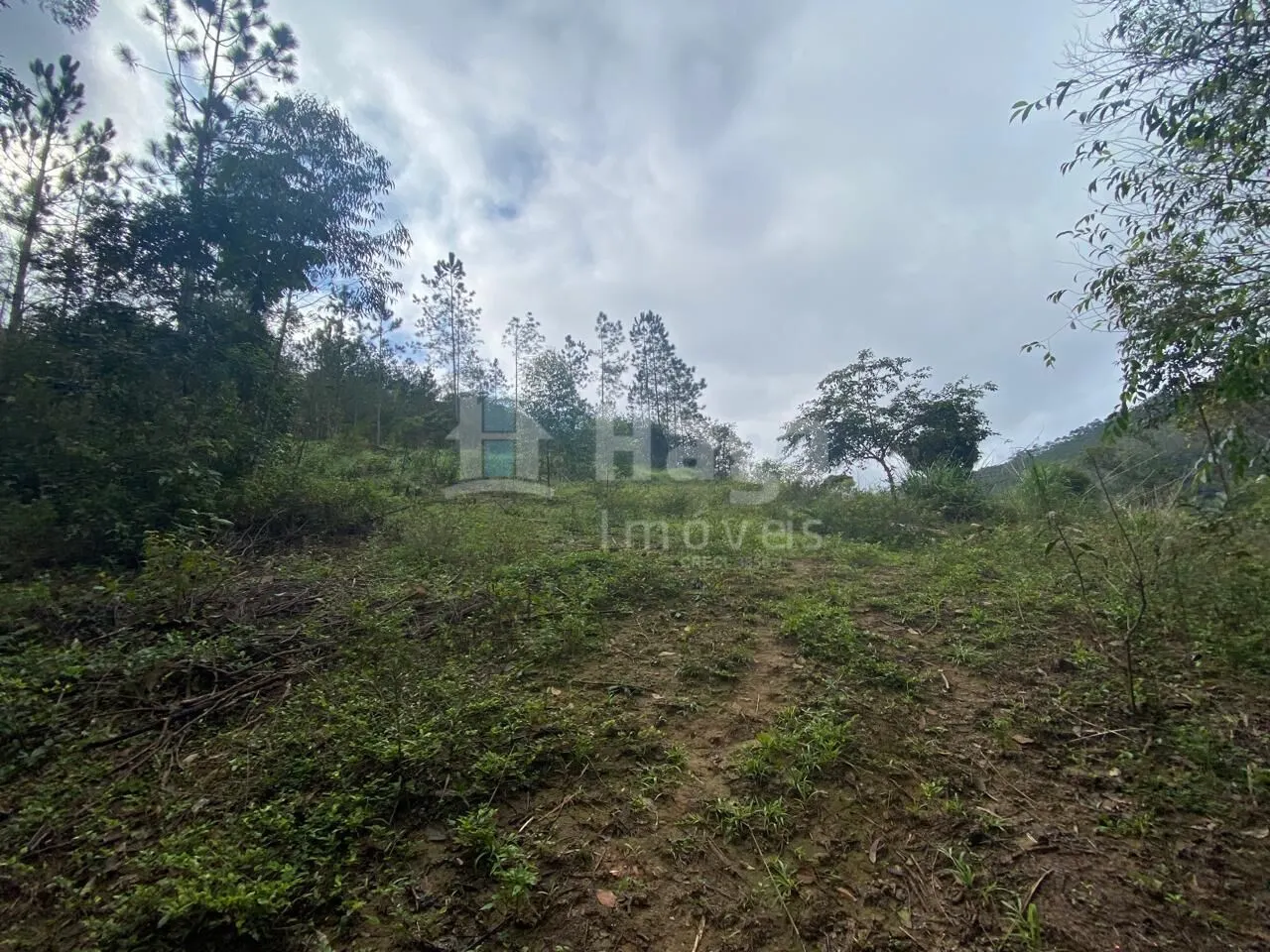Fazenda à venda de 7 ha em Nova Trento, SC, Brasil